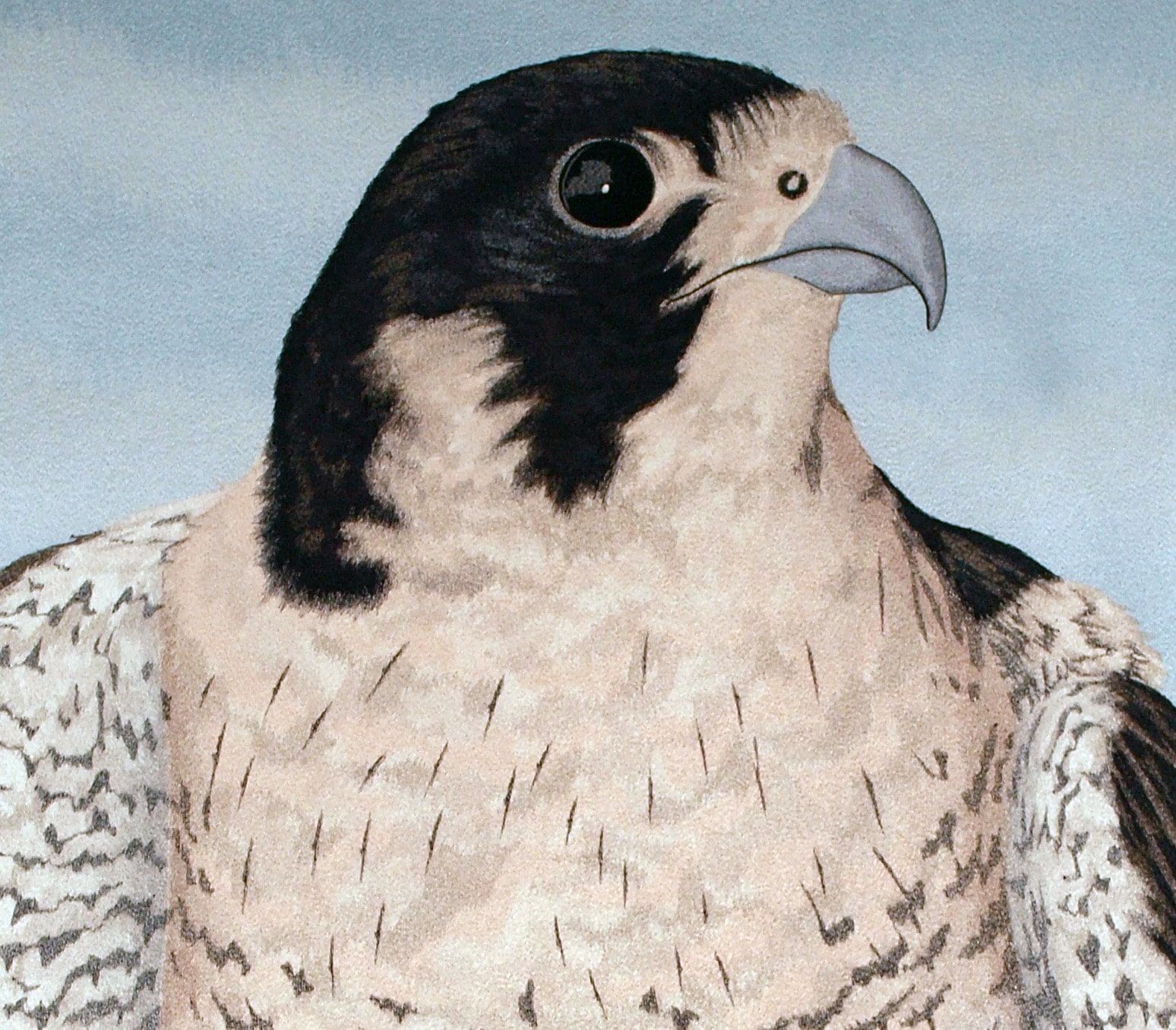 Photorealistic embroidery from 2007: the head and chest of a falcon against a pale blue sky